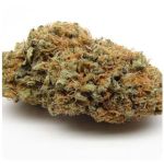 Шишки AK47 (Гидропоника, Бошка) VHQ в Богородицке Шишки AK47 (Гидропоника, Бошка) VHQ в Богородицке